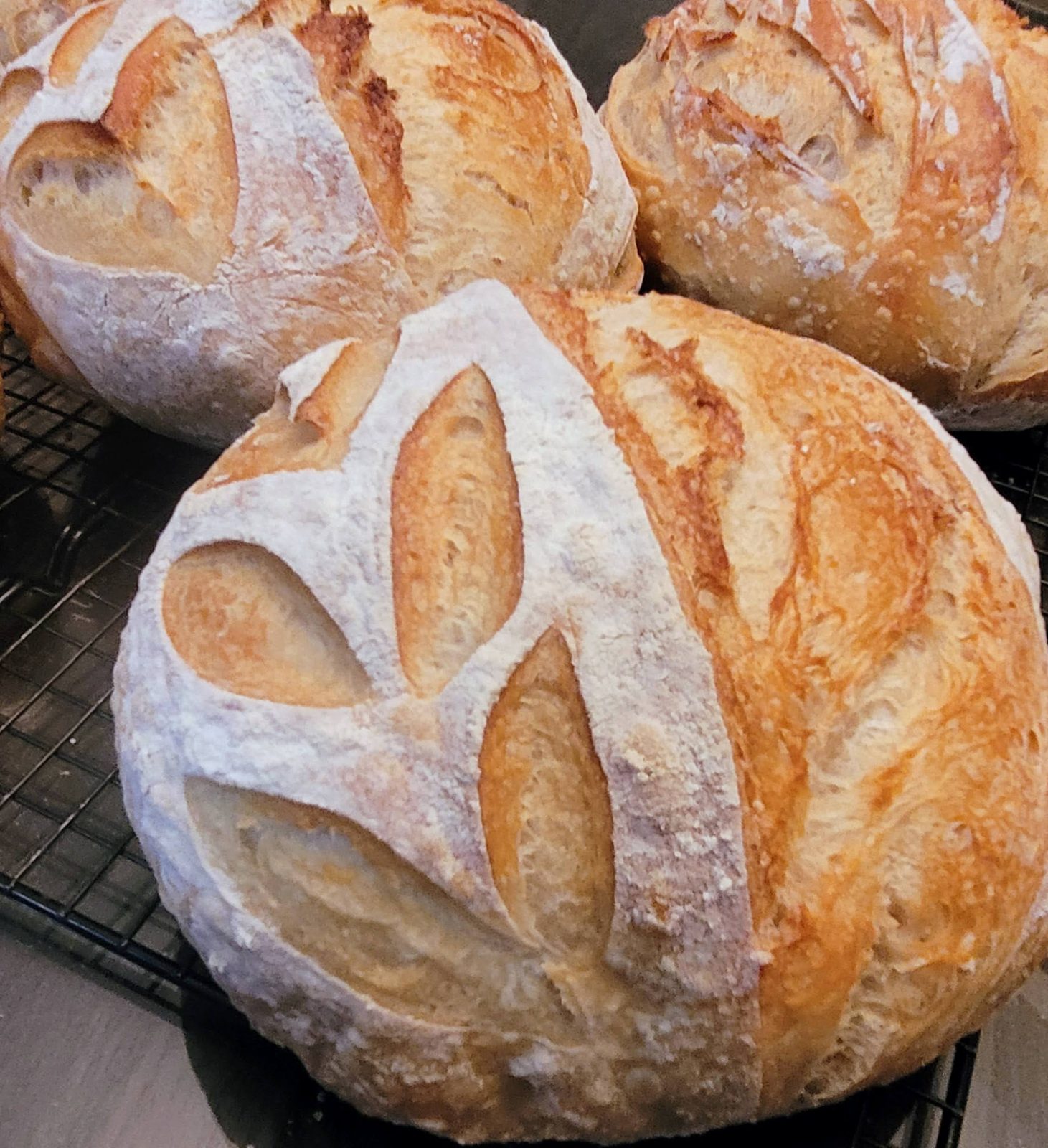 Organic Sourdough